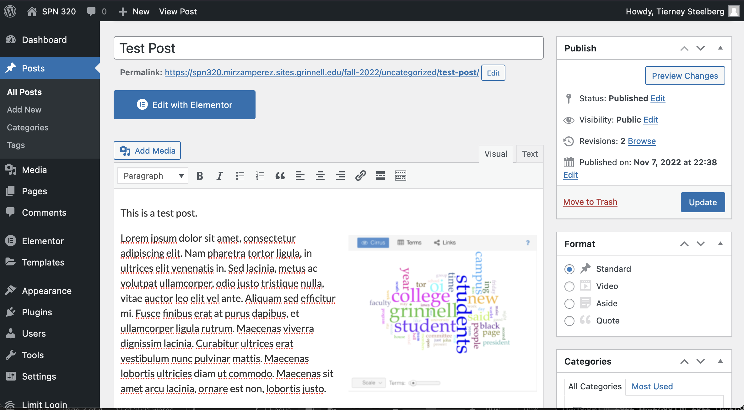 Screenshot of the back-end view of Post editor and settings.