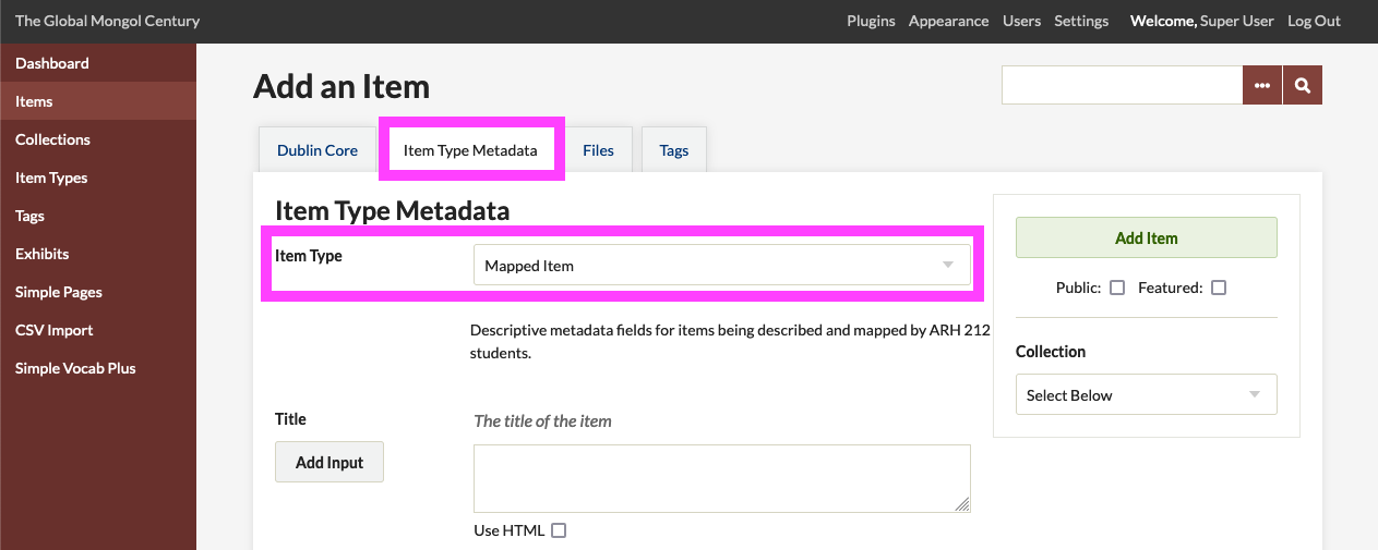 Screenshot of the course Omeka site Item Type Metadata page for entering descriptive information