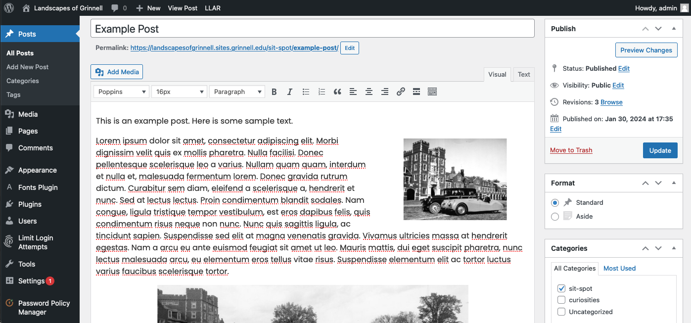 Screenshot of a WordPress Post being written in the Classic Editor