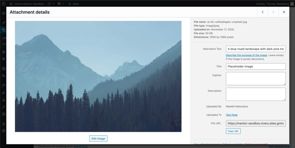 Screenshot of an image in the WordPress Media Library
